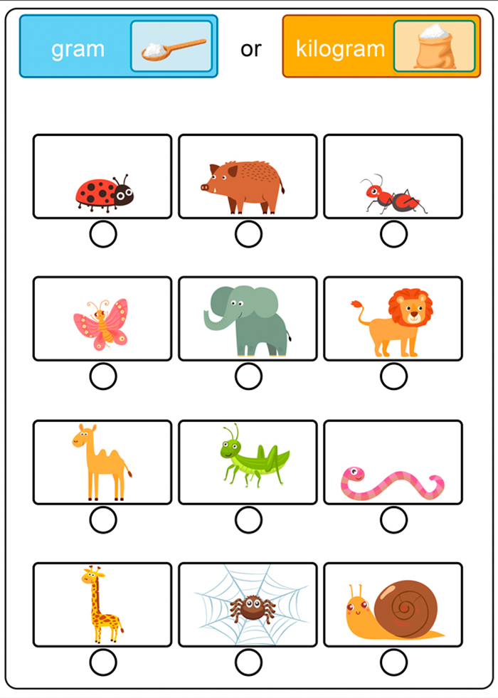 illustrators studio 3d rendering