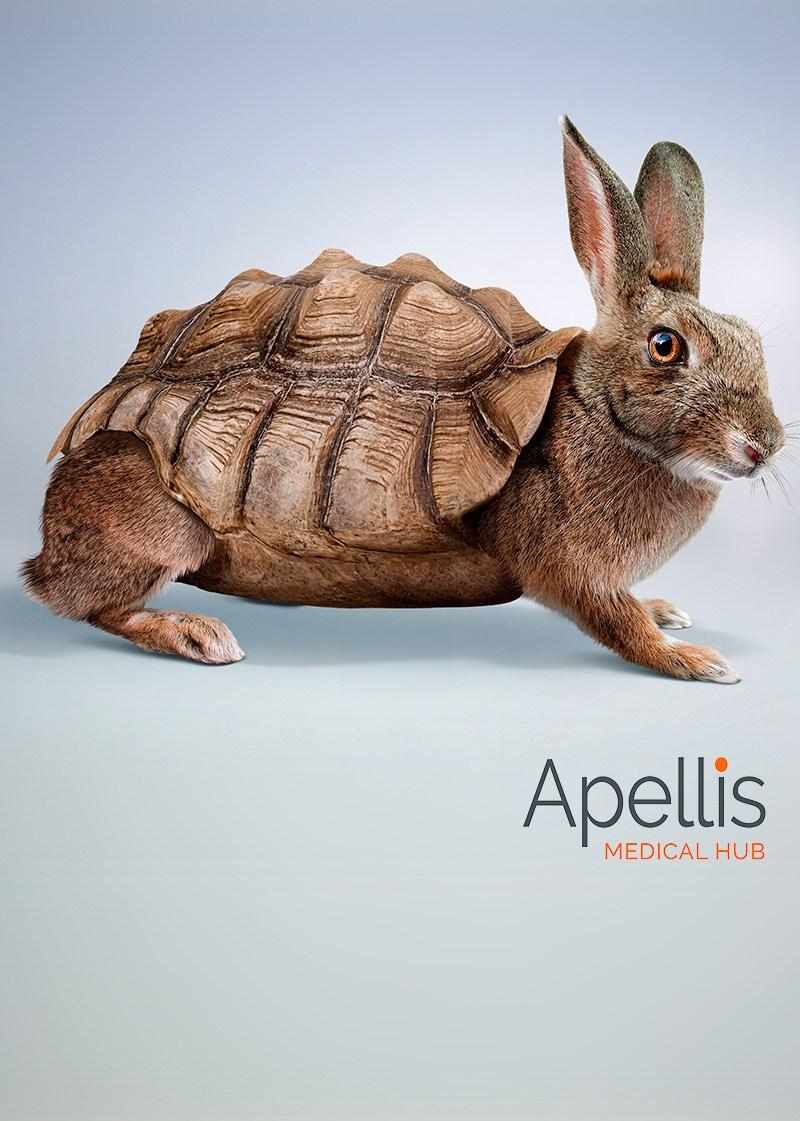 Apellis | Ilustradores hiperralistas